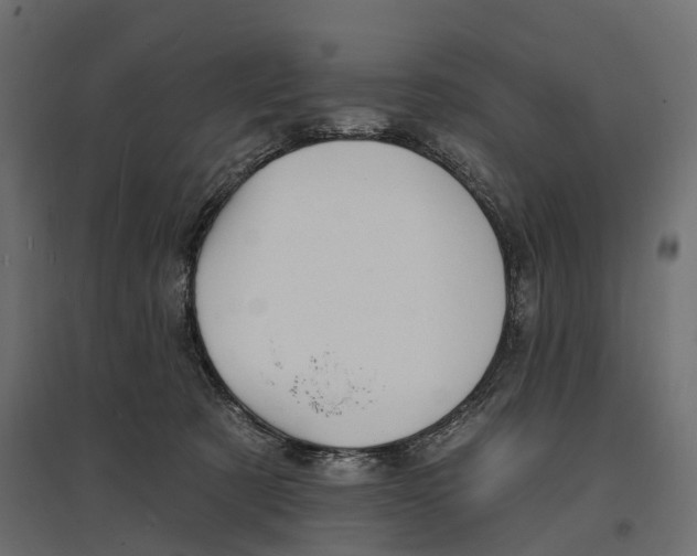 X0000096990321200803071059