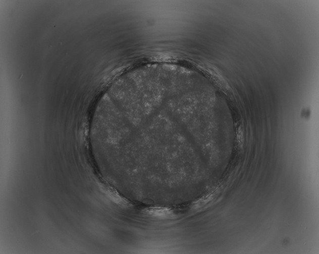 X0000096990322200803071059