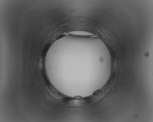 X0000096990323200803071059