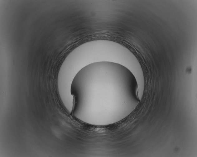 X0000096990324200803071059