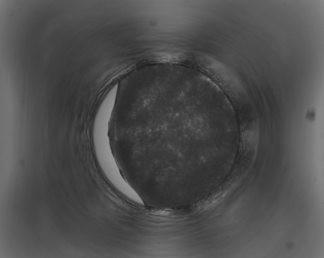 X0000096990325200803071059