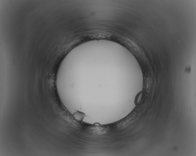 X0000096990326200803071059