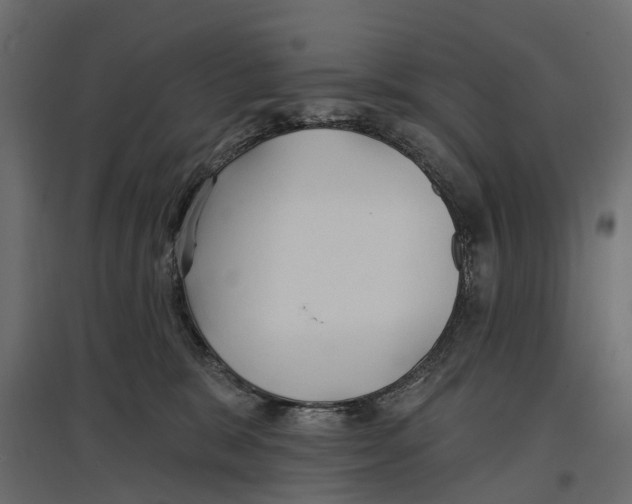 X0000096990327200803071059