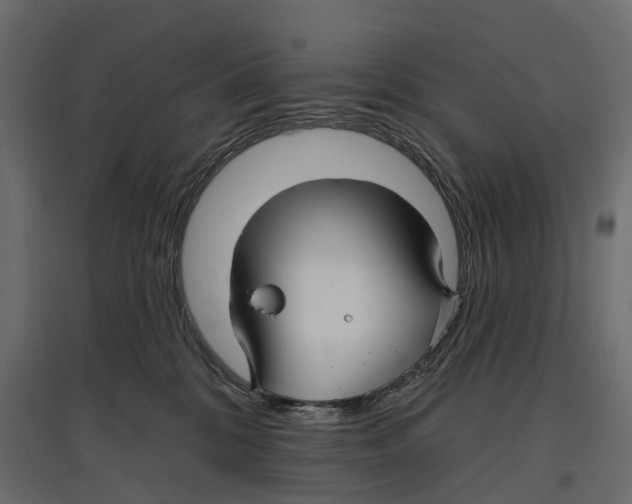 X0000096990328200803071059