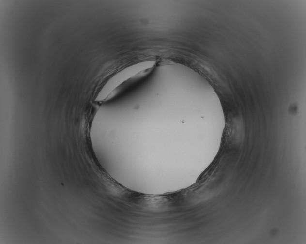 X0000096990333200803071059