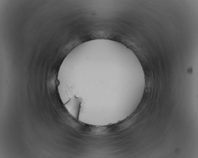 X0000096990334200803071059