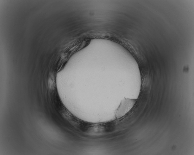 X0000096990335200803071059