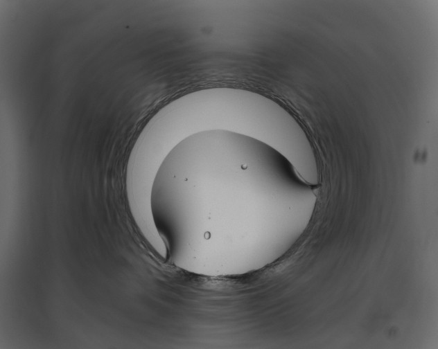 X0000096990336200803071059