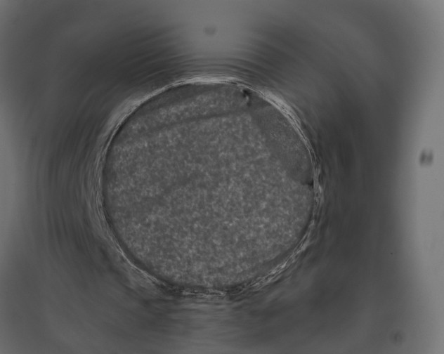 X0000096990337200803071058