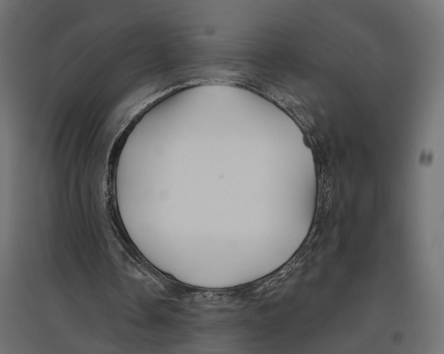 X0000096990338200803071058