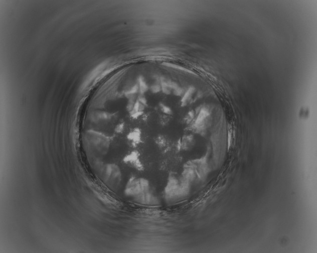 X0000096990339200803071058