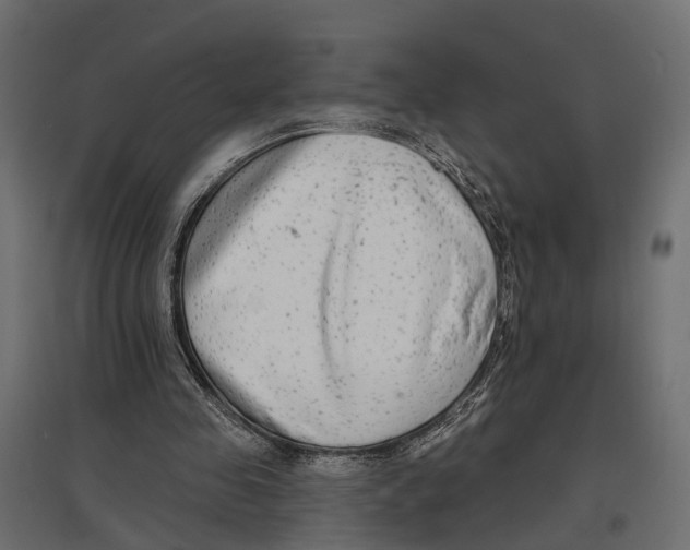 X0000096990341200803071058