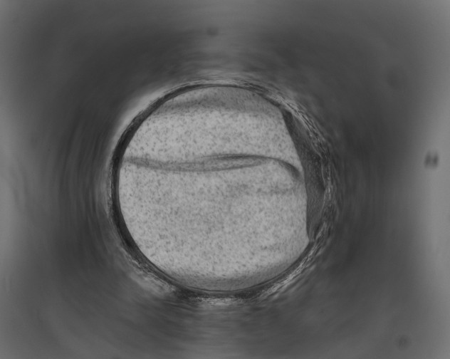 X0000096990342200803071058