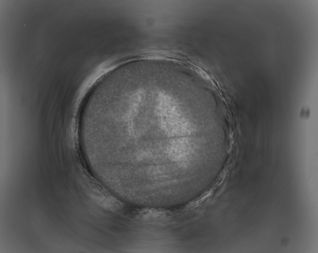 X0000096990343200803071058