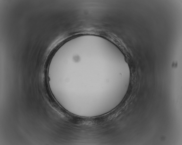 X0000096990344200803071058