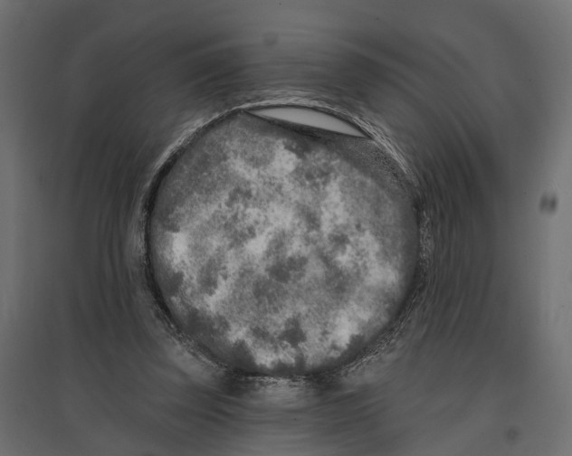 X0000096990347200803071058