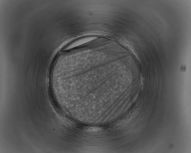 X0000096990348200803071058