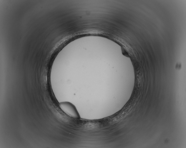 X0000096990350200803071058