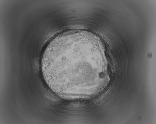 X0000096990351200803071058