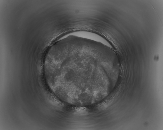 X0000096990355200803071058