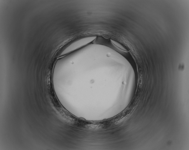 X0000096990356200803071058