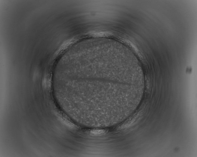 X0000096990357200803071058