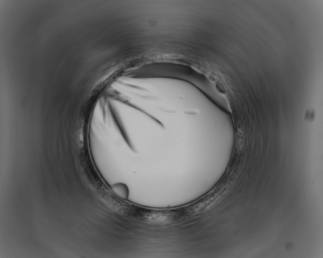 X0000096990358200803071058