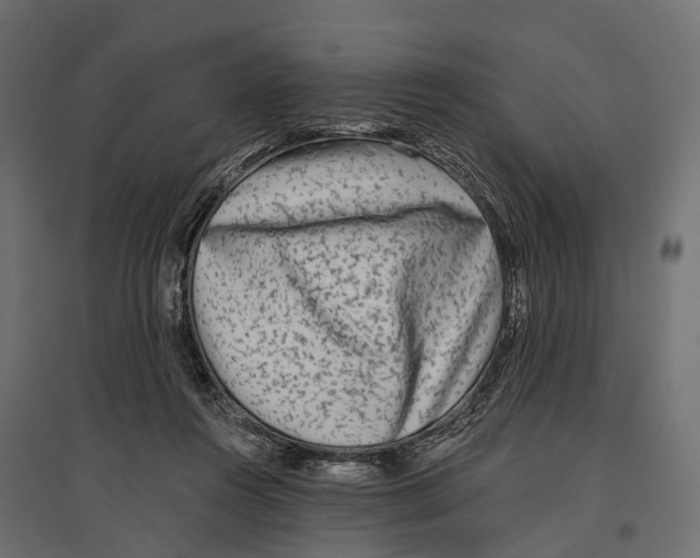 X0000096990360200803071058