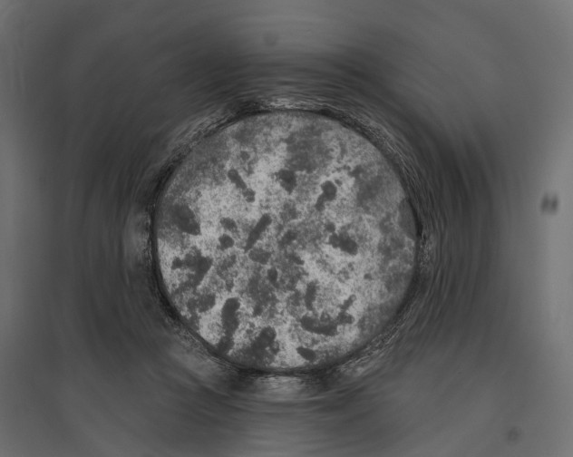 X0000096990361200803071058