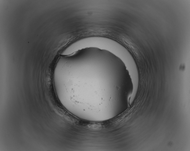 X0000096990362200803071059