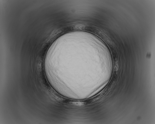 X0000096990363200803071059