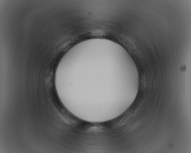 X0000096990364200803071059