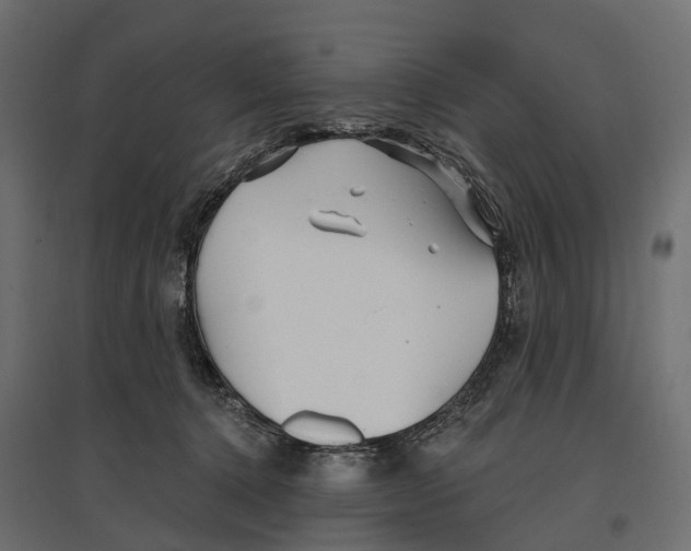 X0000096990368200803071059