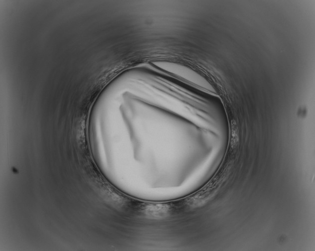 X0000096990369200803071059