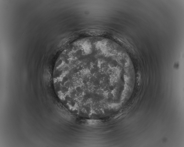 X0000096990371200803071059