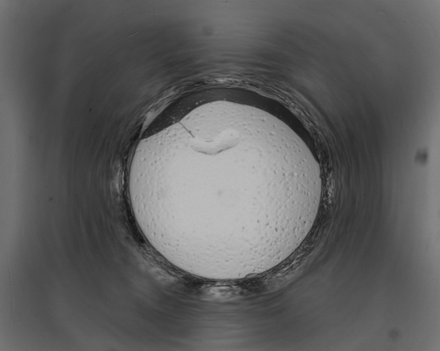 X0000096990372200803071059