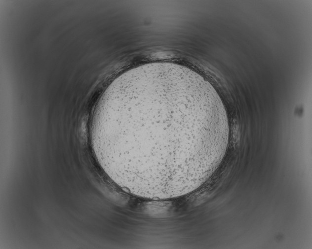 X0000096990373200803071059