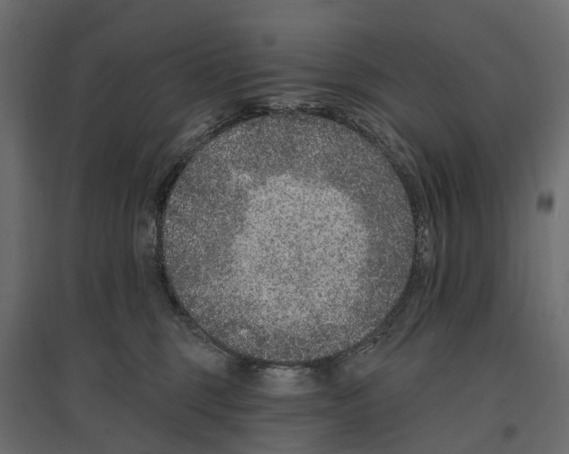 X0000096990375200803071059