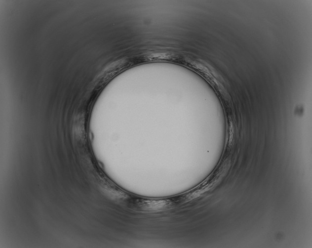 X0000096990377200803071059