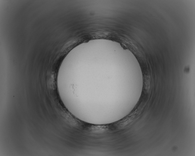 X0000096990378200803071059