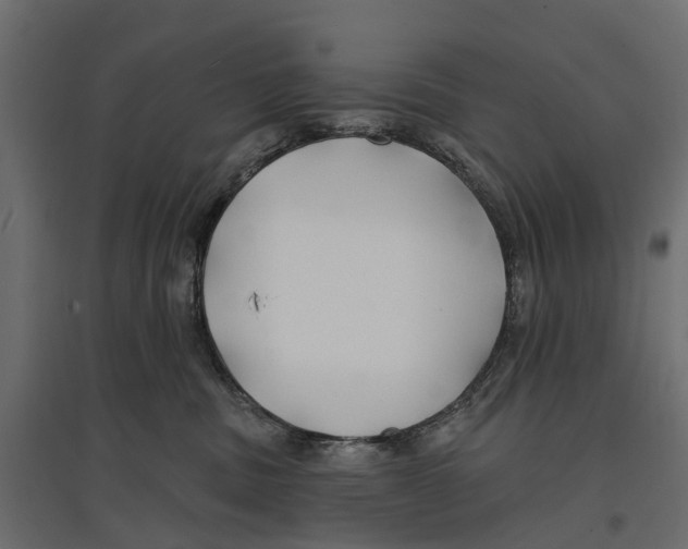 X0000096990379200803071059