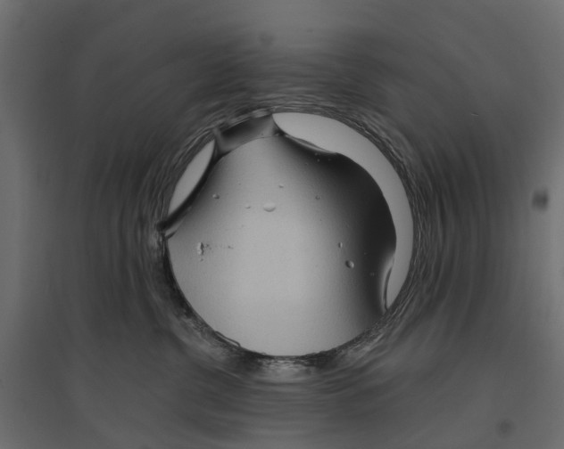 X0000096990380200803071059