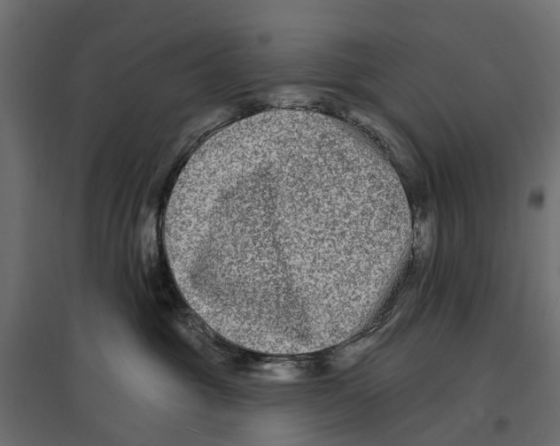 X0000096990381200803071059