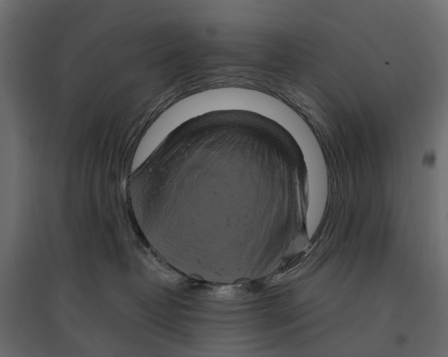 X0000096990382200803071059