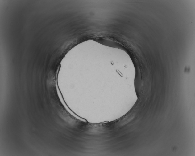 X0000096990384200803071059