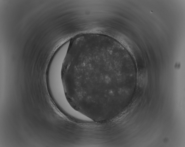 X0000096990389200803071058