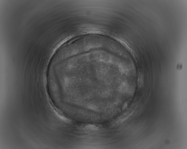 X0000096990390200803071058