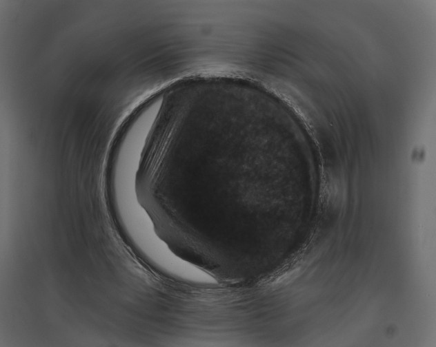 X0000096990391200803071058