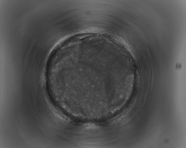 X0000096990392200803071058