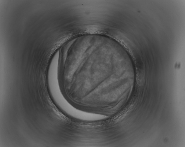 X0000096990393200803071058